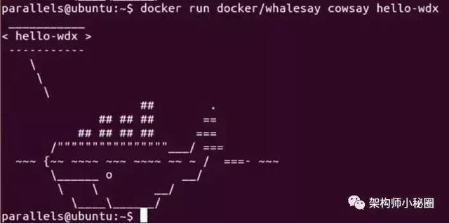 架构师分享 Docker 新手入门完全指南