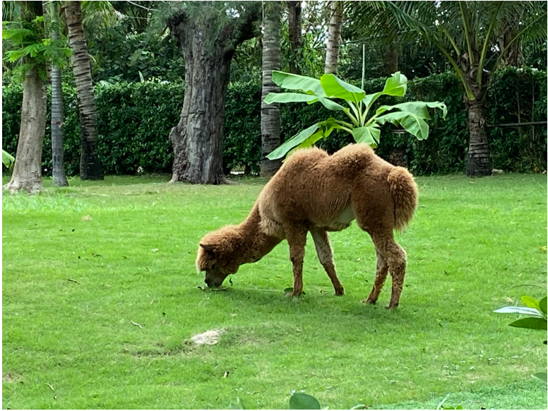 神奇的 Python 图片处理库：exifread