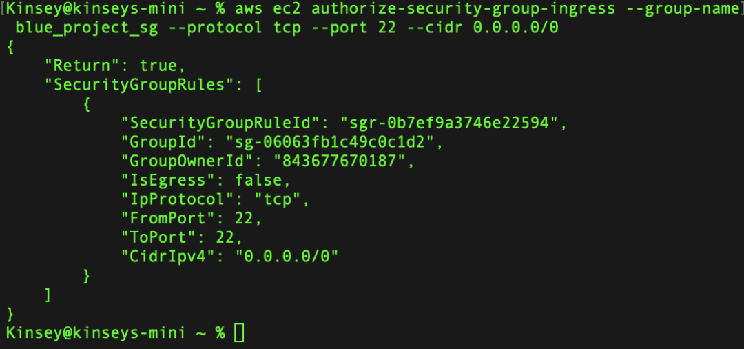 从 AWS CLI 启动带有 Apache Web 服务器的 Amazon EC2 实例