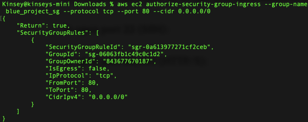 从 AWS CLI 启动带有 Apache Web 服务器的 Amazon EC2 实例